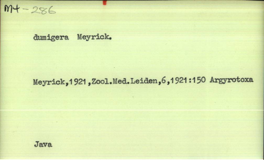 front of card